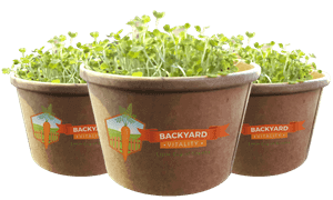 microgrow-starter-kit
