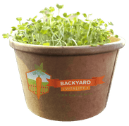 microgrow-starter-ki