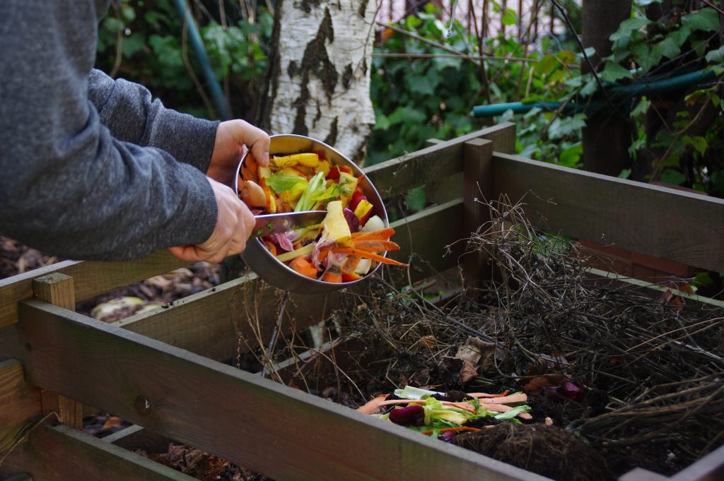 7 Ways to Use Sugar in Your Garden